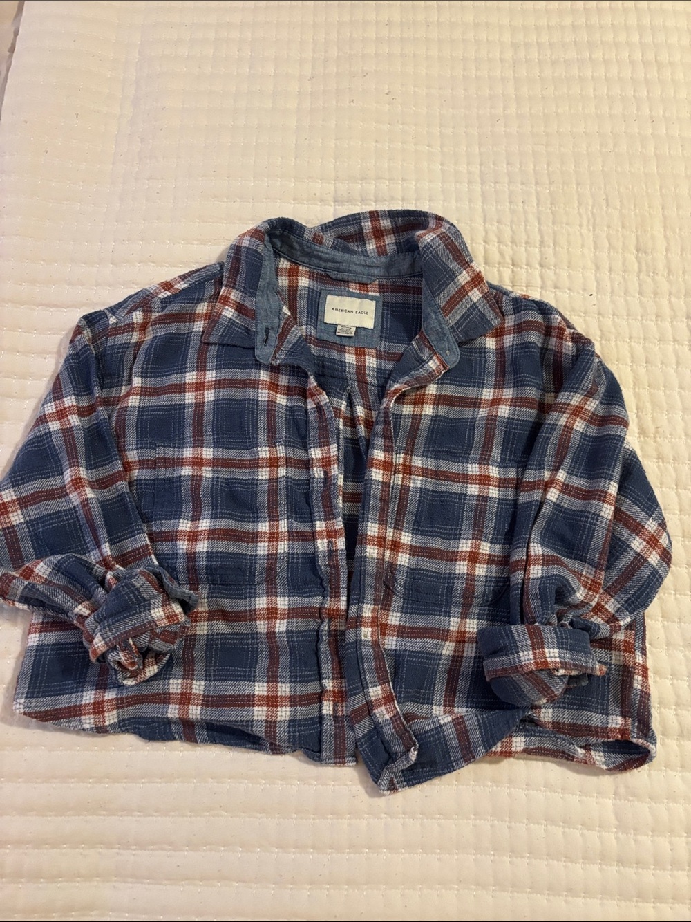 American Eagle Outfitters Blue and Red Plaid Button-Down Shirt